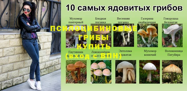 каннабис Нефтекумск