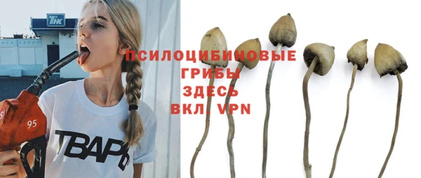 каннабис Нефтекумск