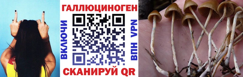 Псилоцибиновые грибы мицелий  Полярные Зори 