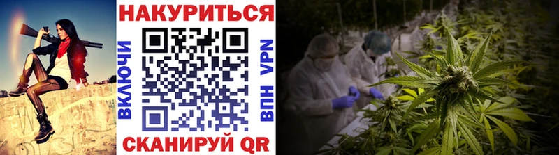 Марихуана конопля  Полярные Зори 
